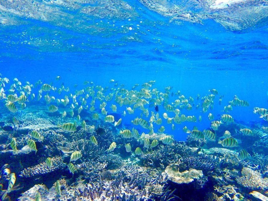Naviti Island Korovou Eco Lodge מראה חיצוני תמונה